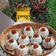 Cooksnap dari wenny herawati untuk resep Kue Talam Abon
