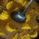 Cooksnap dari faTMa untuk resep Udang Saus Padang