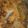 maymona (Lilly Olive)'s cooksnap of when they made Degi biryani like restaurent.