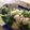 Felice's cooksnap of when they made Sautéed broccoli and potatoes.