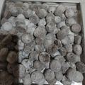 Cooksnap dari Liana untuk resep Black Snow White Cookies / Putri Salju Oreo