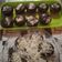 Cooksnap dari Musripah 1959 untuk resep Kue balok brownie