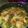 Cooksnap dari Istie untuk resep Sop Ayam