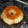 El cooksnap de Tamara Del Barco cuando hizo Flan casero de dulce de leche.