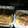 El cooksnap de Imma Ruiz cuando hizo Panga con espárragos verdes al horno.