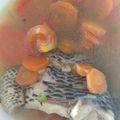 Cooksnap dari Mommy HanZiel untuk resep Sup Ikan Nila ala Restoran