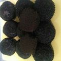Cooksnap dari Mulyani Arif untuk resep Muffin coklat kukus (no mixer)
