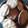 El cooksnap de Lidia García cuando hizo Galletitas de chocolate súper fáciles.