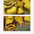 Cooksnap dari Risma Rahmawan untuk resep Marble Cake/ Marmer Cake/ Bolu Jadul (Metode Butter Cake)