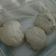 Cooksnap dari Ms. Blasius untuk resep Bakpau ala Ny. Liem