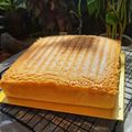 Cooksnap dari Ibun Malik untuk resep "Vanilla Fruit Cake"