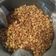 Cooksnap dari Budi Santoso untuk resep Kacang bawang goreng krenyes