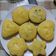 Cooksnap dari Kania dewi untuk resep Pukis Lembut