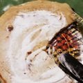 Cooksnap dari Liesbeth untuk resep Pancake vla coklat.