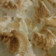 Cooksnap από nouvia στη συνταγή Lemon pie
