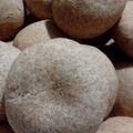 El cooksnap de Monica Carmen Colosimo Cortese cuando hizo Pancitos con harina integral.