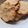El cooksnap de Fabiola Marchant cuando hizo Galletas de coco y harina de almendras grez.