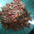 Cooksnap dari dilla17 untuk resep Sambel Teri Kacang