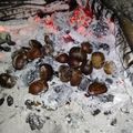 Cooksnap από Γιάννα στη συνταγή 29 μέρες πριν: Ψήσε στο τζάκι ή βράσε στο κατσαρόλι κάστανα!