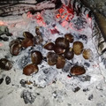 Cooksnap από Γιάννα στη συνταγή 29 μέρες πριν: Ψήσε στο τζάκι ή βράσε στο κατσαρόλι κάστανα!