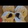 Cooksnap dari Mila Khs ❣️ untuk resep Bakpao Coklat lumer sederhana