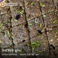 harshita budhrani का कुकस्नैप जब उन्होंने सिंधी खुराक (sindhi surak recipe in Hindi) बनाया था।