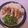 x2ratman's cooksnap of when they made Bacon chedder stuffed chicken.