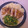 x2ratman's cooksnap of when they made Bacon chedder stuffed chicken.