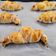Bernadett Radics Cooksnap-ja, amikor elkészítette a(z) Sonkás sajtkrémes croissant receptet.
