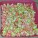 Cooksnap dari Nurmadella Karobiyyun Widodo untuk resep Green Caramel Popcorn