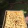 Cooksnap dari stella untuk resep Pizza tipis teflon/oven