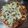 El cooksnap de Carolina Castillo cuando hizo Pizza con masa de papa hecha en sartén...🤔🤨🙄🍕🧀🍳🌰🍆🧀🍕.
