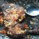 Cooksnap dari citra pratiwi untuk resep Ayam penyet sambel mentah