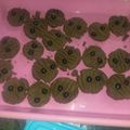 Cooksnap dari diana rista untuk resep Cookies Nutrijell Coklat