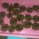 Cooksnap dari diana rista untuk resep Cookies Nutrijell Coklat