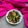 Asma Akter Tuli's cooksnap of when they made চিংড়ি দিয়ে মিষ্টি কুমড়া ভাজি।.