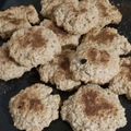 El cooksnap de Sol Vargua cuando hizo Galletas de AVENA (fácil y rápidas).