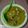 Cooksnap dari ika cahyaningsih untuk resep Tongseng Ayam