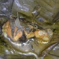 Cooksnap dari Mawar MWR_kitchen untuk resep Pepes Ayam Pedas