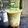 Cooksnap dari Lady Nafaz untuk resep Es Cendol