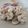 Cooksnap de Lo Reine sur la recette Salade de champignons