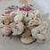 Cooksnap de Lo Reine sur la recette Salade de champignons