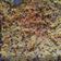 El cooksnap de Magdalena Grimaldi Terapeuta cuando hizo Pastel de mijo.