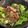 รูป Cooksnap ของ Lookmoo เมื่อเขาทำ ยำเนื้อย่าง