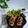 Cooksnap dari Dapur_Fayfood EvaYulian untuk resep Baked Potatoes Beef #Rabubaru