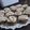 El cooksnap de Flor cuando hizo Alfajores de NUEZ 🥳😋.