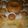 El cooksnap de Silvia Alejandra Agüero cuando hizo Cupcakes de miel, limón y vainilla.