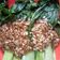 Cooksnap dari Deyanti Indra Nilasari untuk resep Garlic Pokchoy