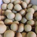 Cooksnap dari bidarienta untuk resep Tamago boro / boromon cookies bydeesawitri
