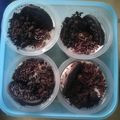Cooksnap dari Robbyantiie untuk resep Cheese cake lumer